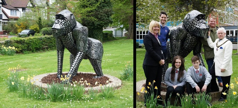 Oswestry Safari Trail Gorilla at The Marches School