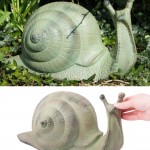 Snail